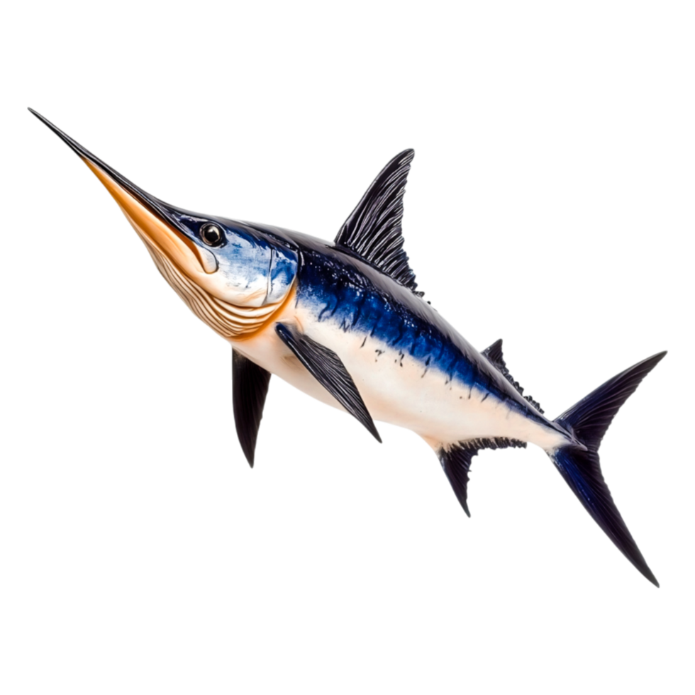 Vibrant Swordfish Swimming Elegantly in Clear Ocean Water png