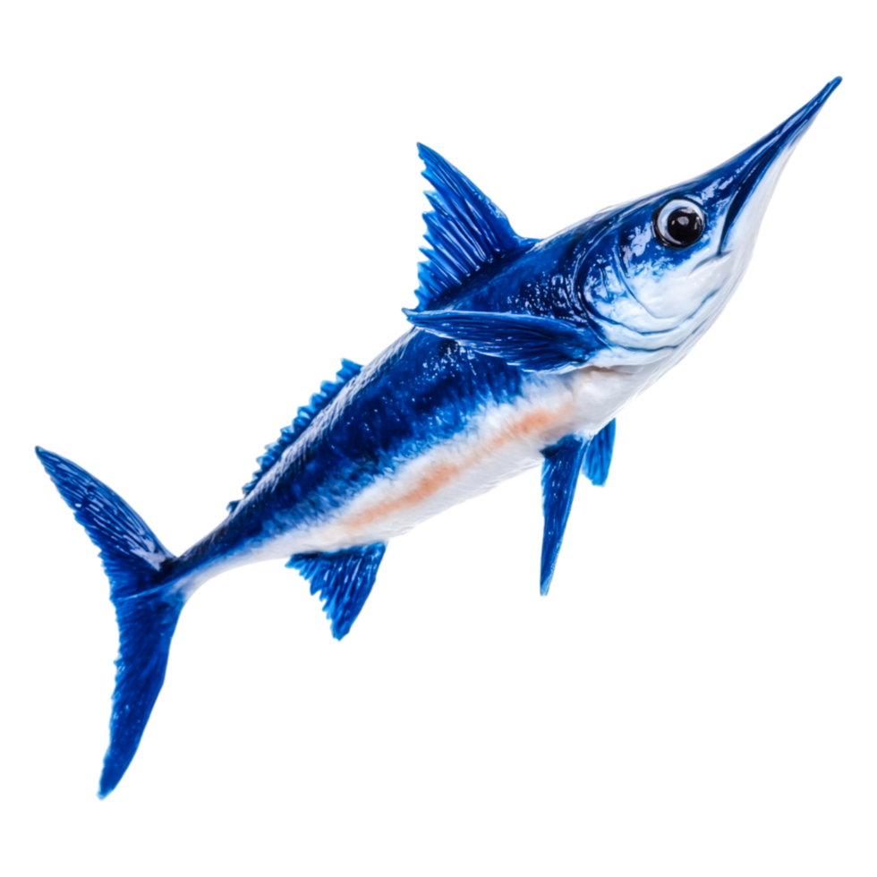 Bright Blue Fish with Sharp Bill Swimming in Crystal Clear Water png