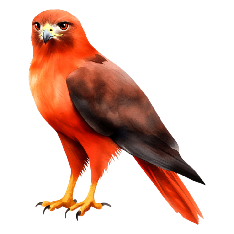 Majestic Red Hawk Perched Elegantly on Branch in Vibrant Colors png