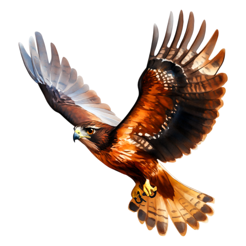 Majestic Hawk Soaring with Grace and Power in Clear Blue Sky png