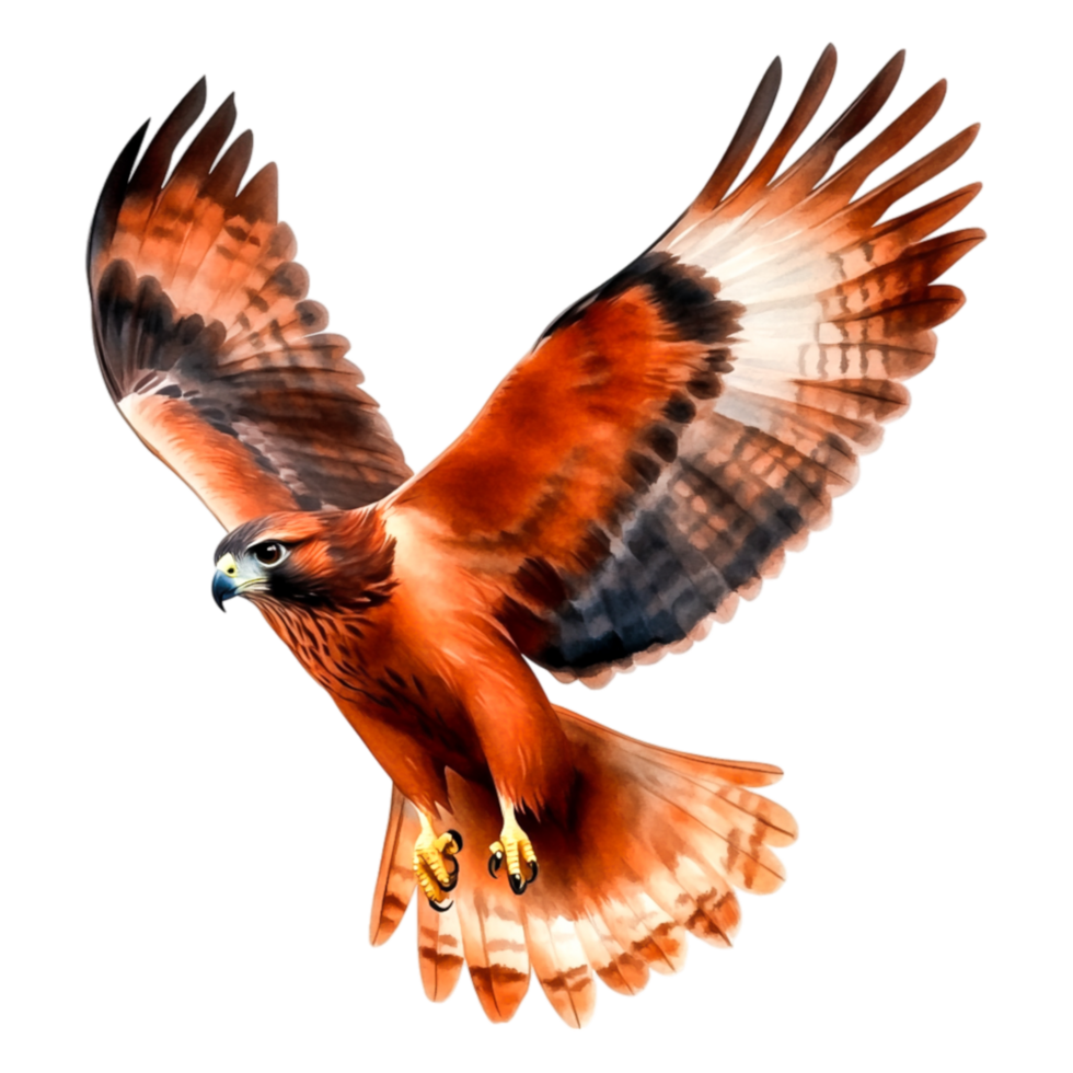 Majestic Bird of Prey in Flight with Vibrant Feather Colors png