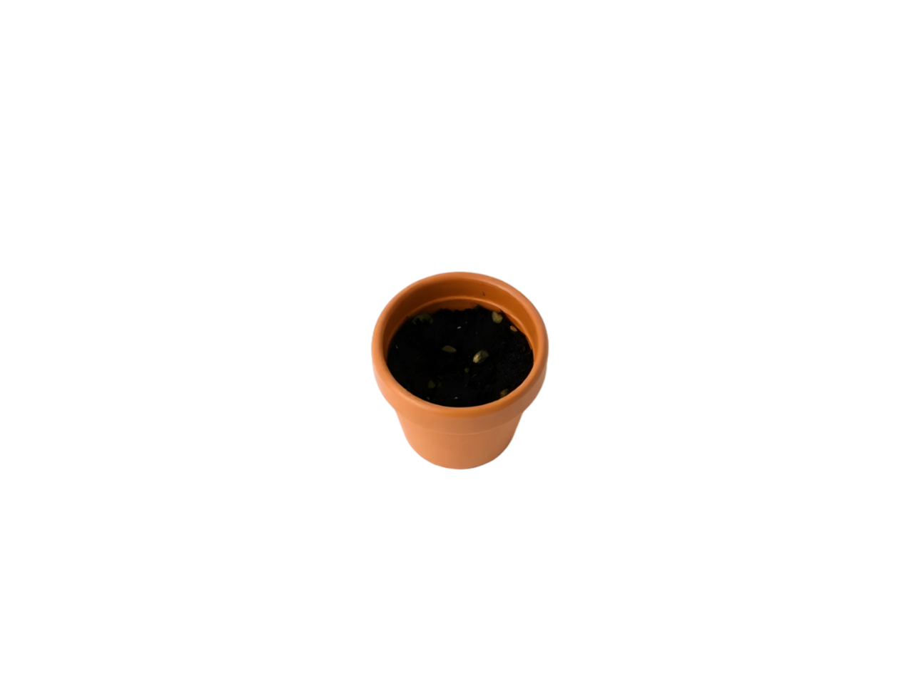 Top view of clay pot with black coffee isolated on transparent background png