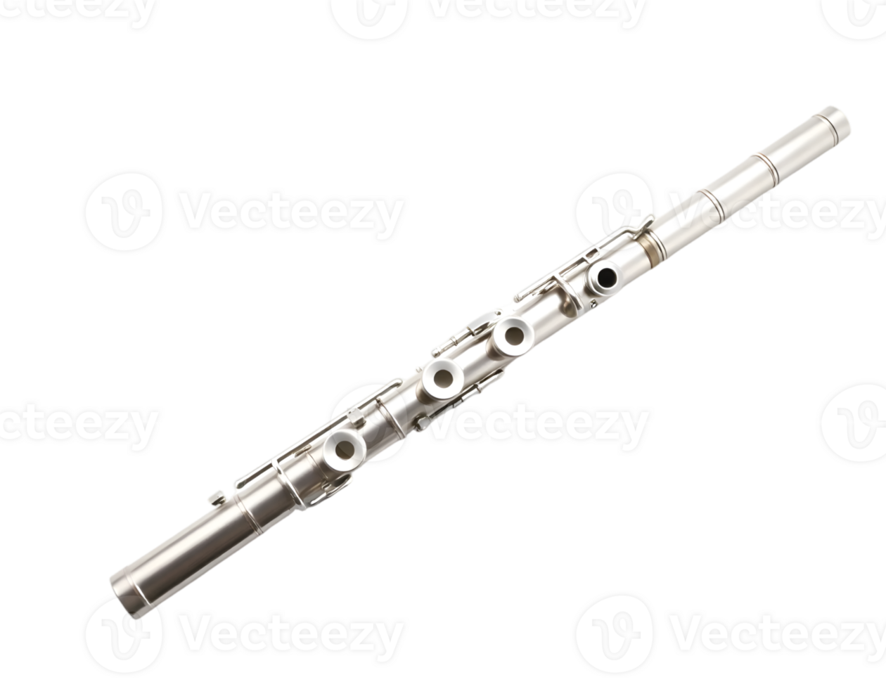 Realistic Detailed 3d Flute Isolated on Transparent Background png