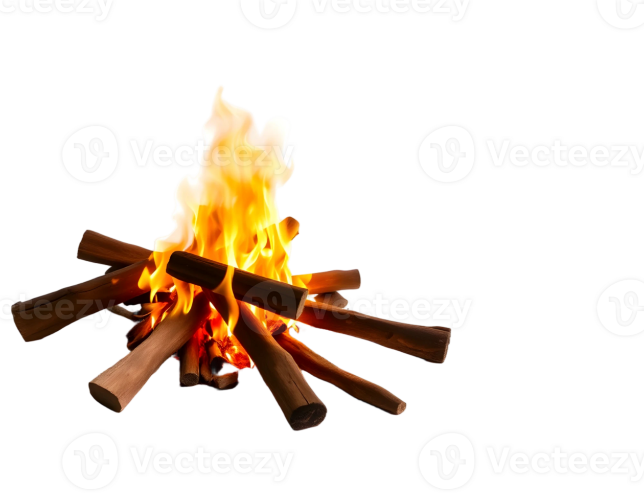 Bonfire with wood sticks isolated on transparent background png