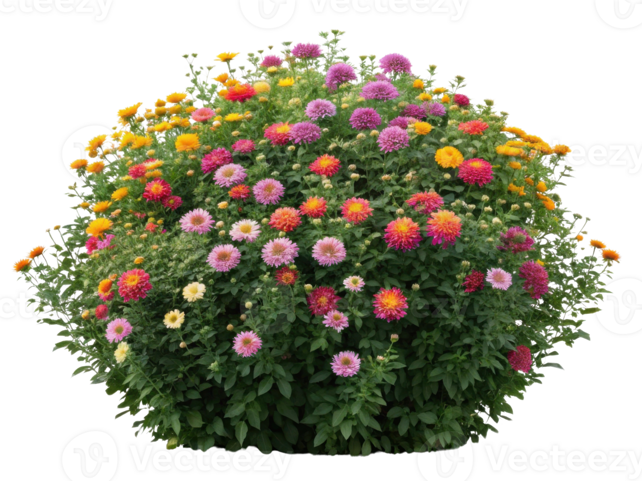 Colorful flower arrangement with vibrant blooms in various shades png