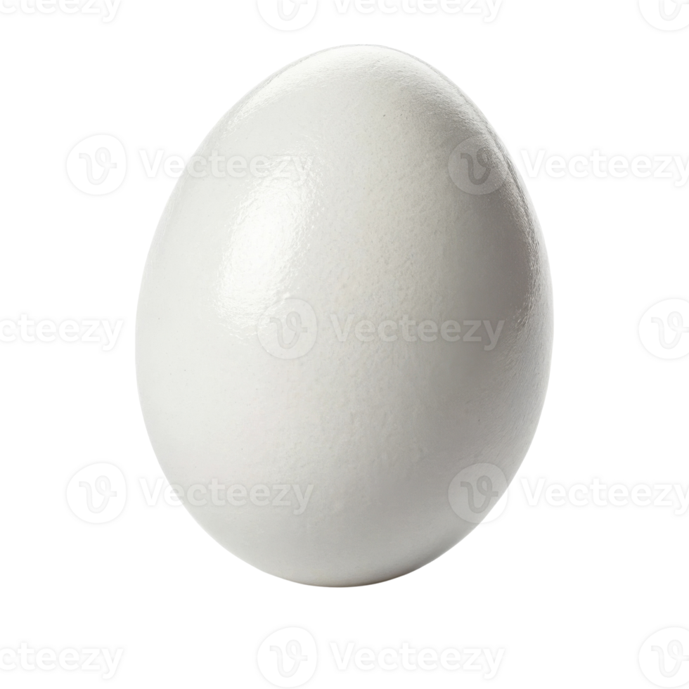 smooth, white egg on transparency background, perfect for culinary themes png