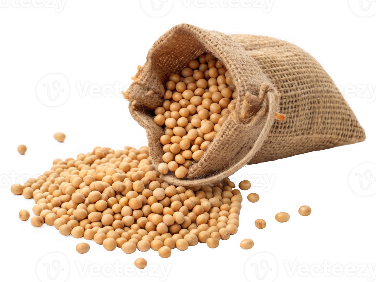 Sack of soybeans spilling on transparency background, showcasing natural grains png