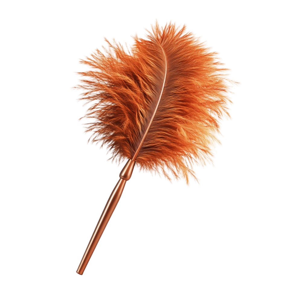 Fluffy Orange Feather png