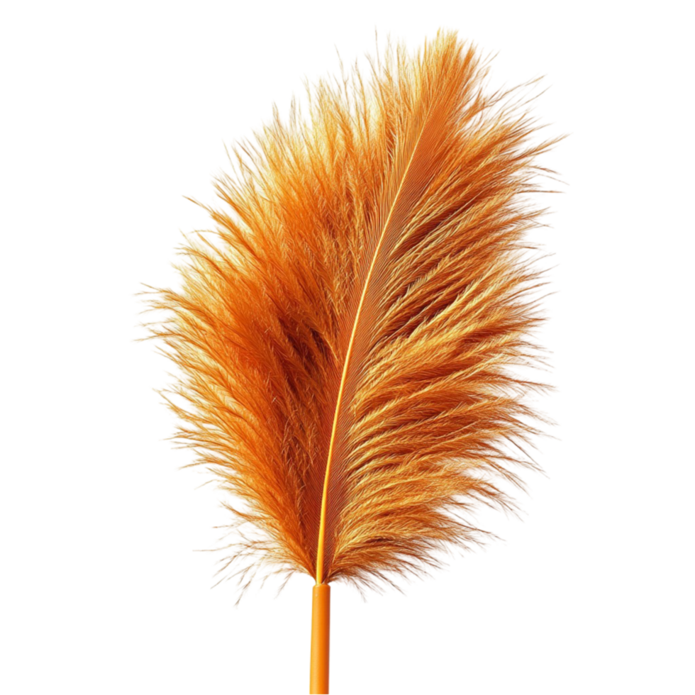 Elegant Golden Feather with Soft Texture png