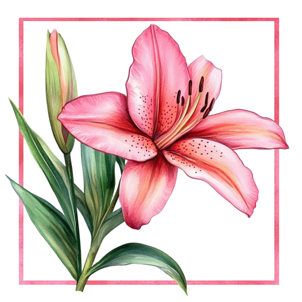 Pink Lily Flower with Green Leaves png