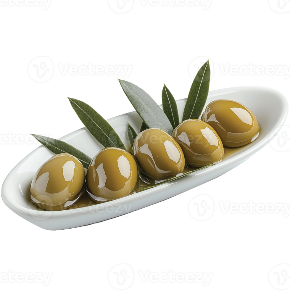 Olive Plant Illustration with Green Olives png