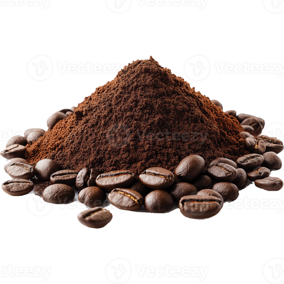 Coffee Beans Isolated with Glossy Roasted Finish png