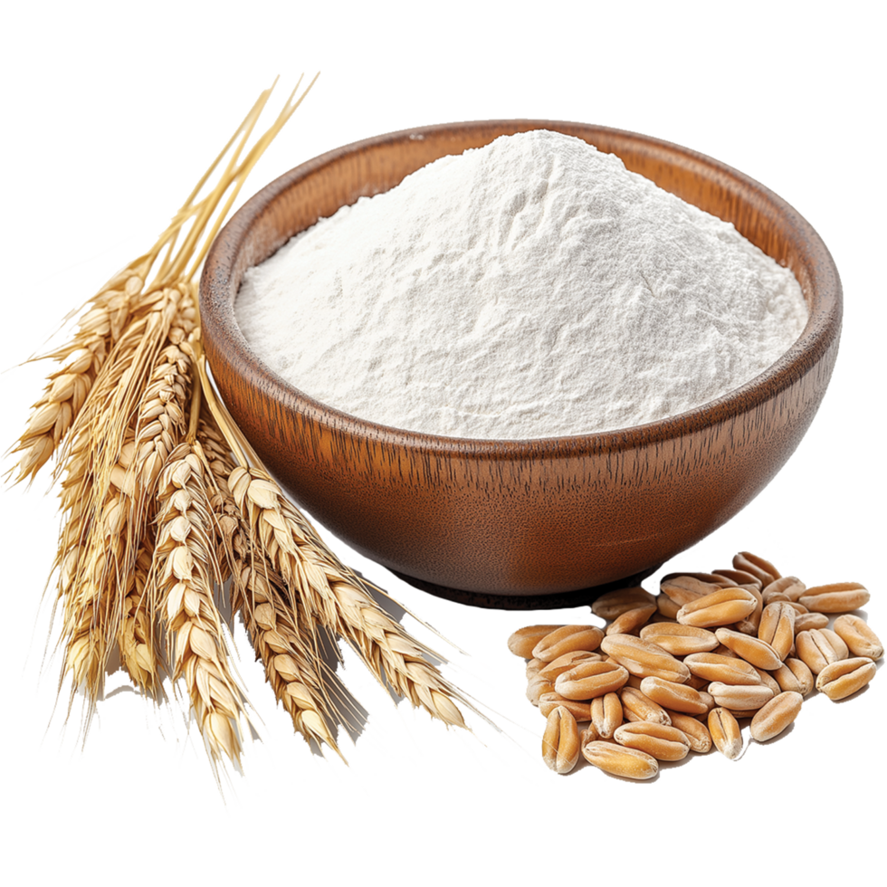 Wheat rye barley oat seeds isolated, Wheat flour in a bowl illustration, oats image png