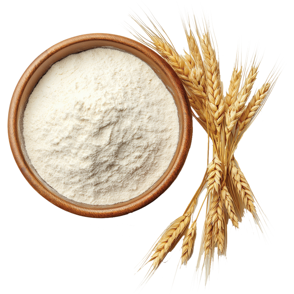 Wheat rye barley oat seeds isolated, Wheat flour in bowl and spikelets illustration, oats image png