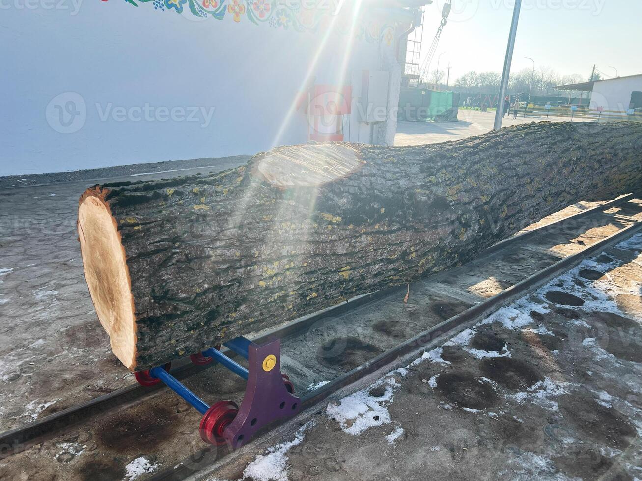 Large tree trunk on mechanical rollers illuminated by sunlight outside building photo