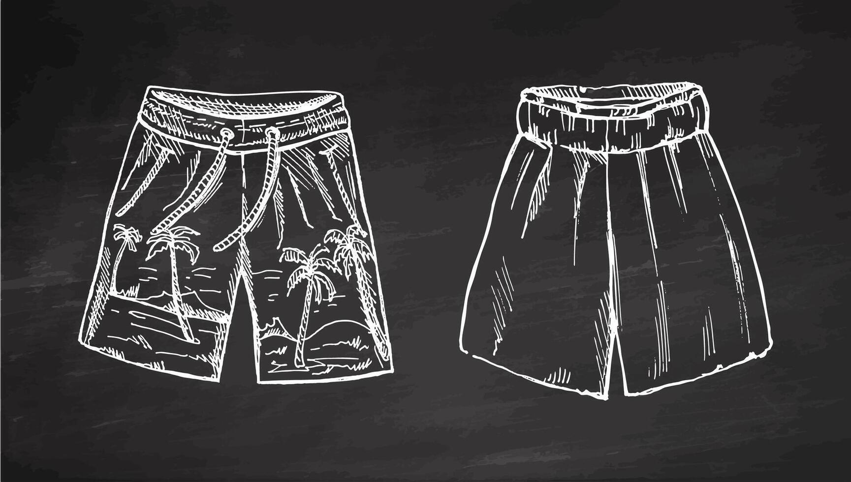 Hand drawn monochrome swim trunks and shorts with tropical design on chalkboard background vector