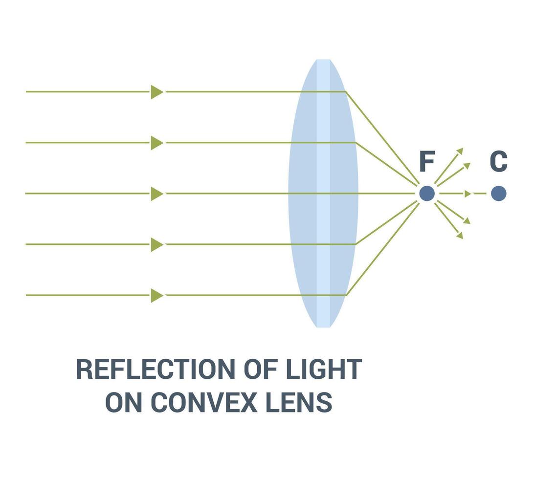An InDepth Explanation of the Reflection of Light on a Convex Lens and Its Mechanisms vector