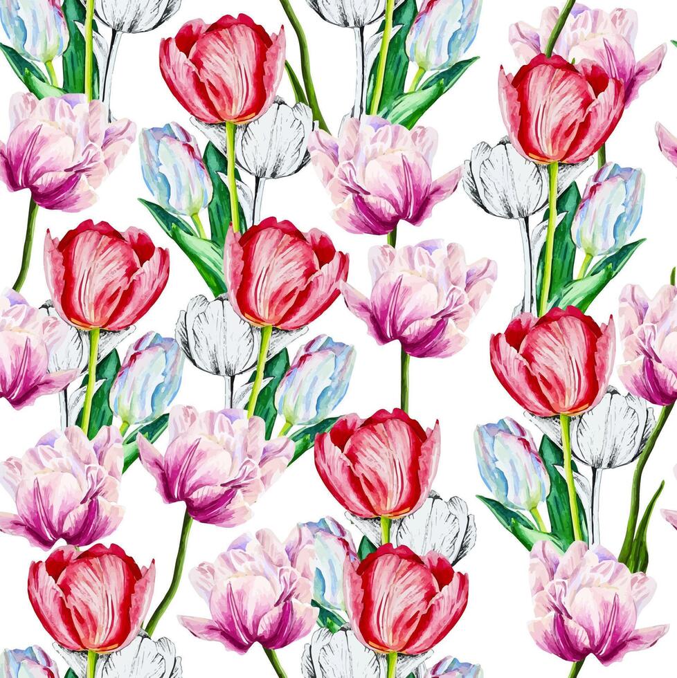 Watercolor botany seamless pattern with tulips background decor hand drawn illustration vector