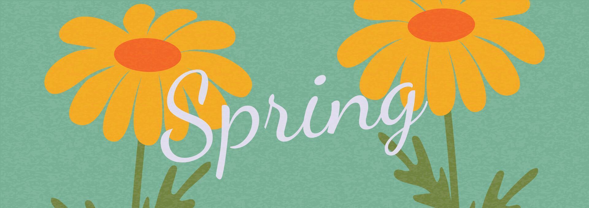 Spring floral illustration with yellow daisies and elegant typography on a green background. Minimalist abstract nature art shapes collection. Pastel color design vector