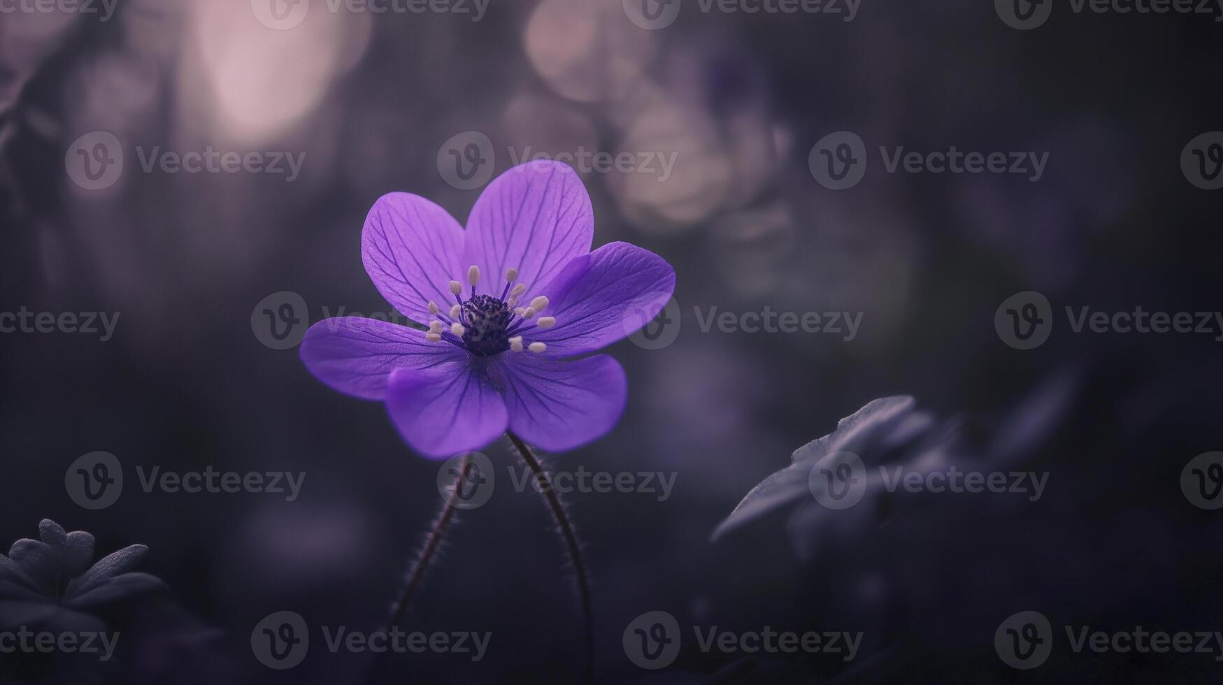 delicate purple flower blooms in forest, surrounded by soft shadows and gentle light, creating serene atmosphere photo
