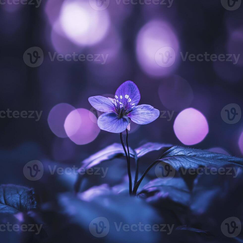 purple flower growing in forest, surrounded by soft glowing lights, creates serene and enchanting atmosphere photo