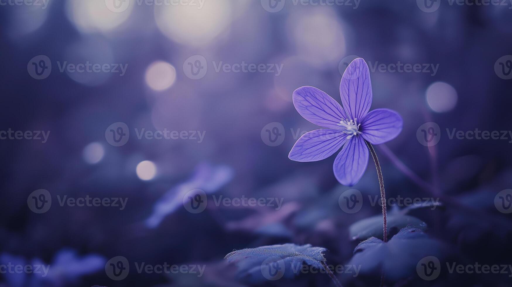 delicate purple flower growing in forest, surrounded by soft bokeh photo