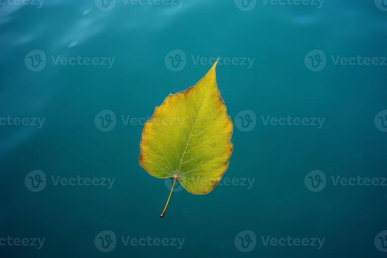 Single Autumn Leaf Floating on Teal Water Nature Photography photo