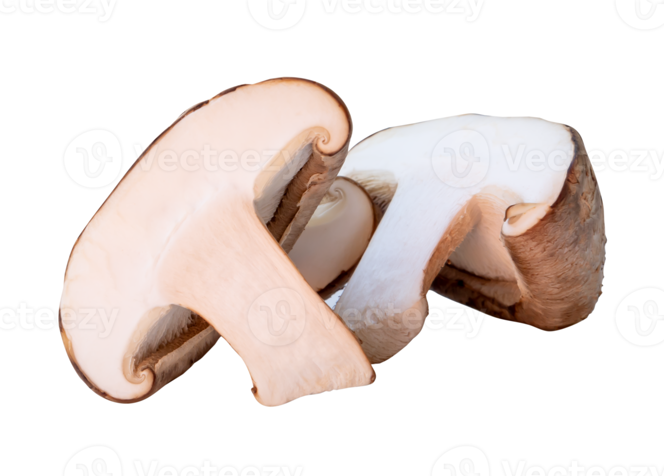A small heap of shiitake mushroom in halves isolated with clipping path in file format png