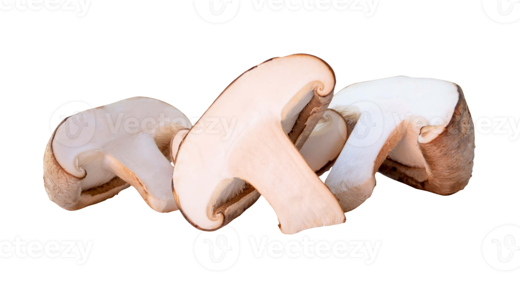 Slices of shiitake mushroom in halves in pile isolated with clipping path in file format png