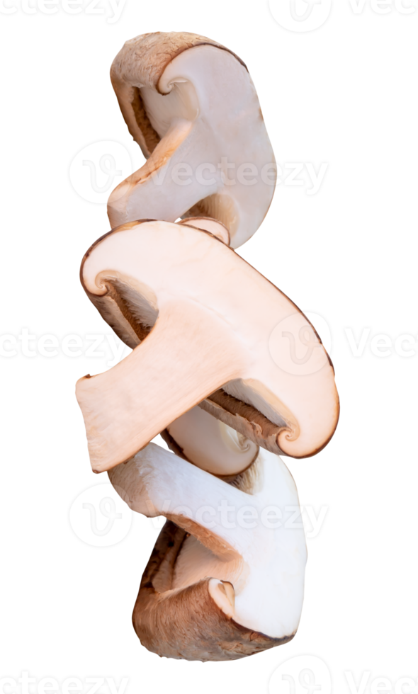 Slices of shiitake mushroom in halves isolated with clipping path in file format png