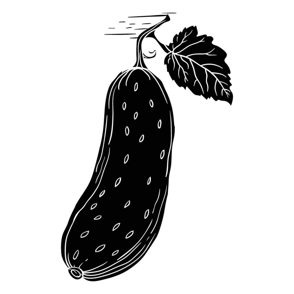 a black and white drawing of a cucumber vector