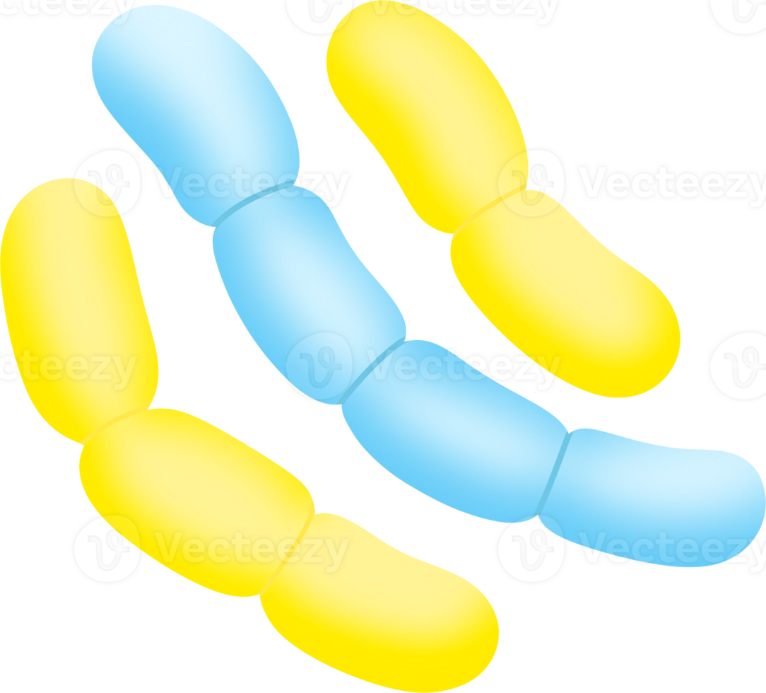 blue Chromosome structure png