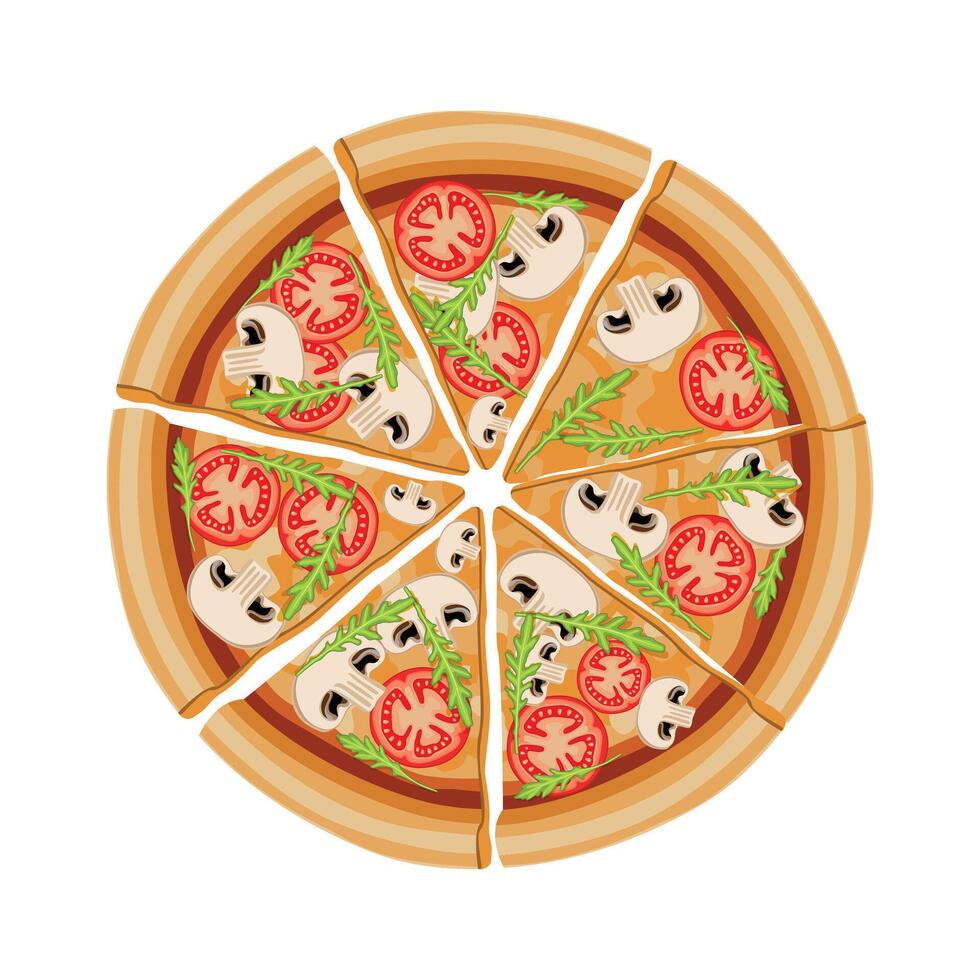 pizza cut into pieces isolated on white background vector