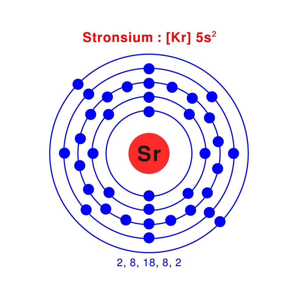 Bohr model of the Strontium atom. electron structure of Strontium vector