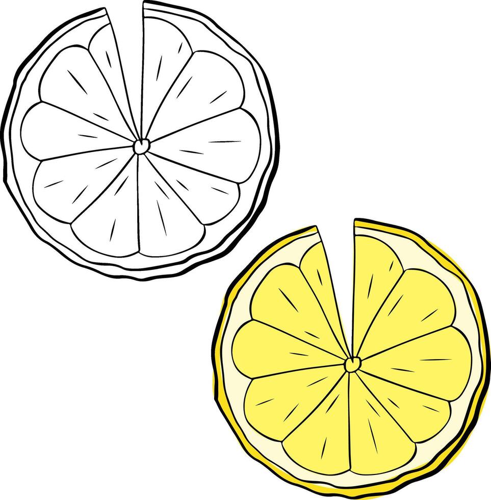 Lemon slice silhouette. Hand Drawn graphic line ink lemon isolated on white background. illustration. Black silhouette Lemon. vector