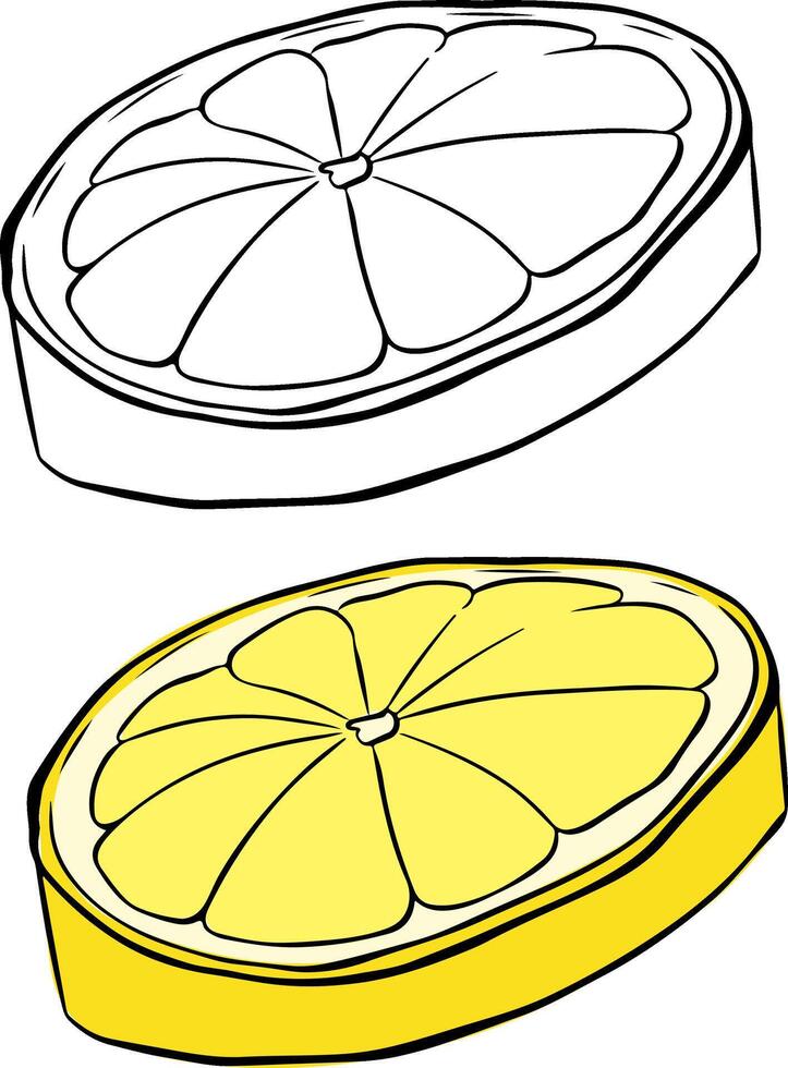 Fresh lemon slice graphic line ink illustration. fruits icon set isolated on white background. vector