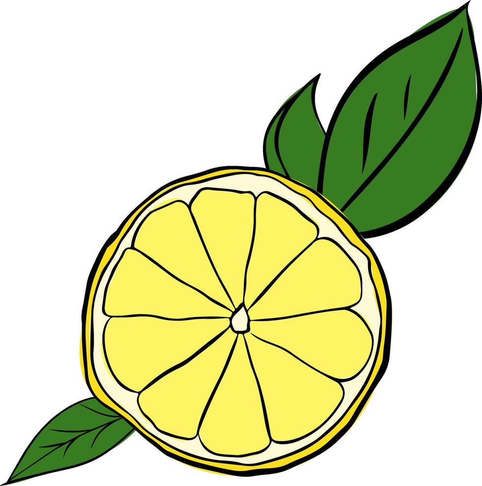 Lemon slice with green leaves composition. Graphic line ink illustration isolated on transparent background. ideal for menu and package designs. vector