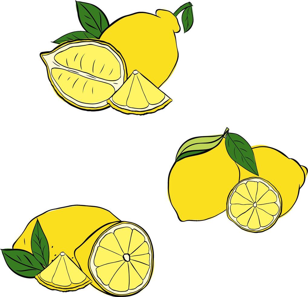 Set lemons with slices and leaves composition sketch illustration. Collection graphic line ink yellow citruses hand engraved. vector