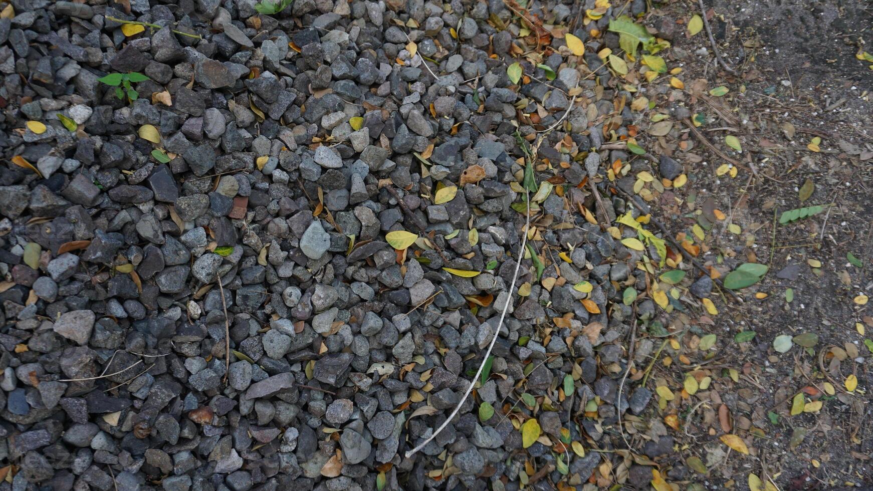 A pile of rocks and leaves on the ground photo