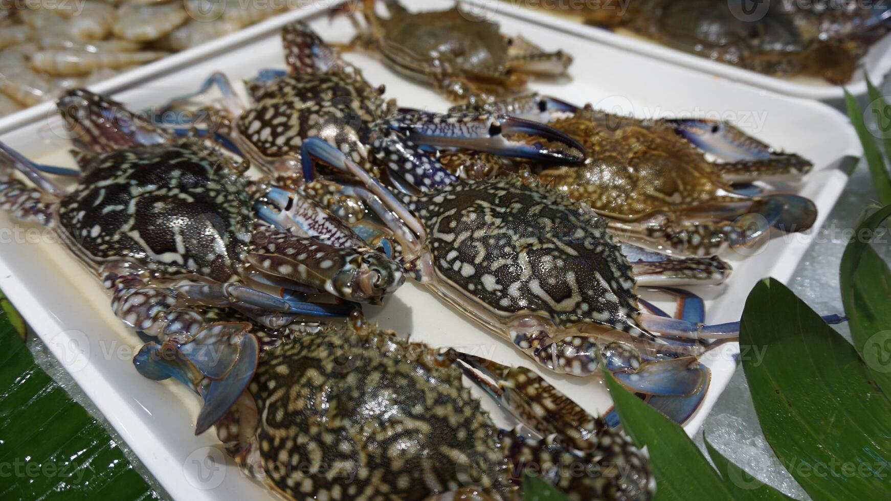 A bunch of crabs on a plate photo