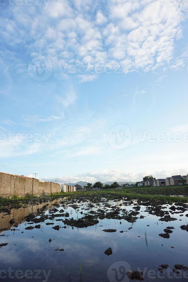 A small pond with rocks and water photo