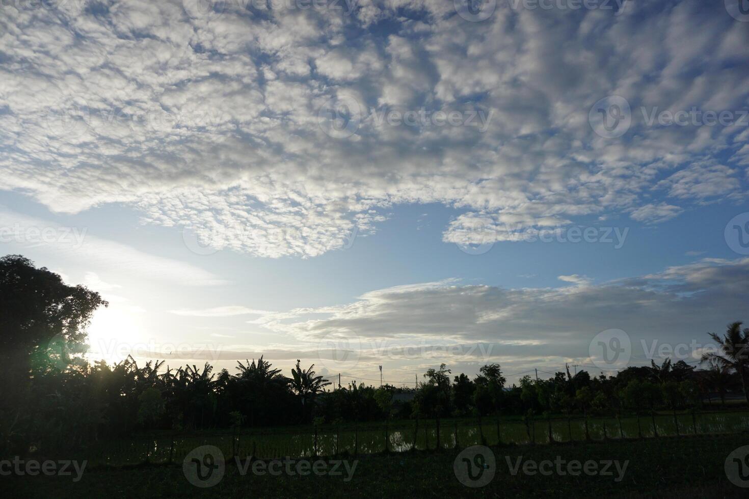 A plane flying over a field with trees and clouds photo