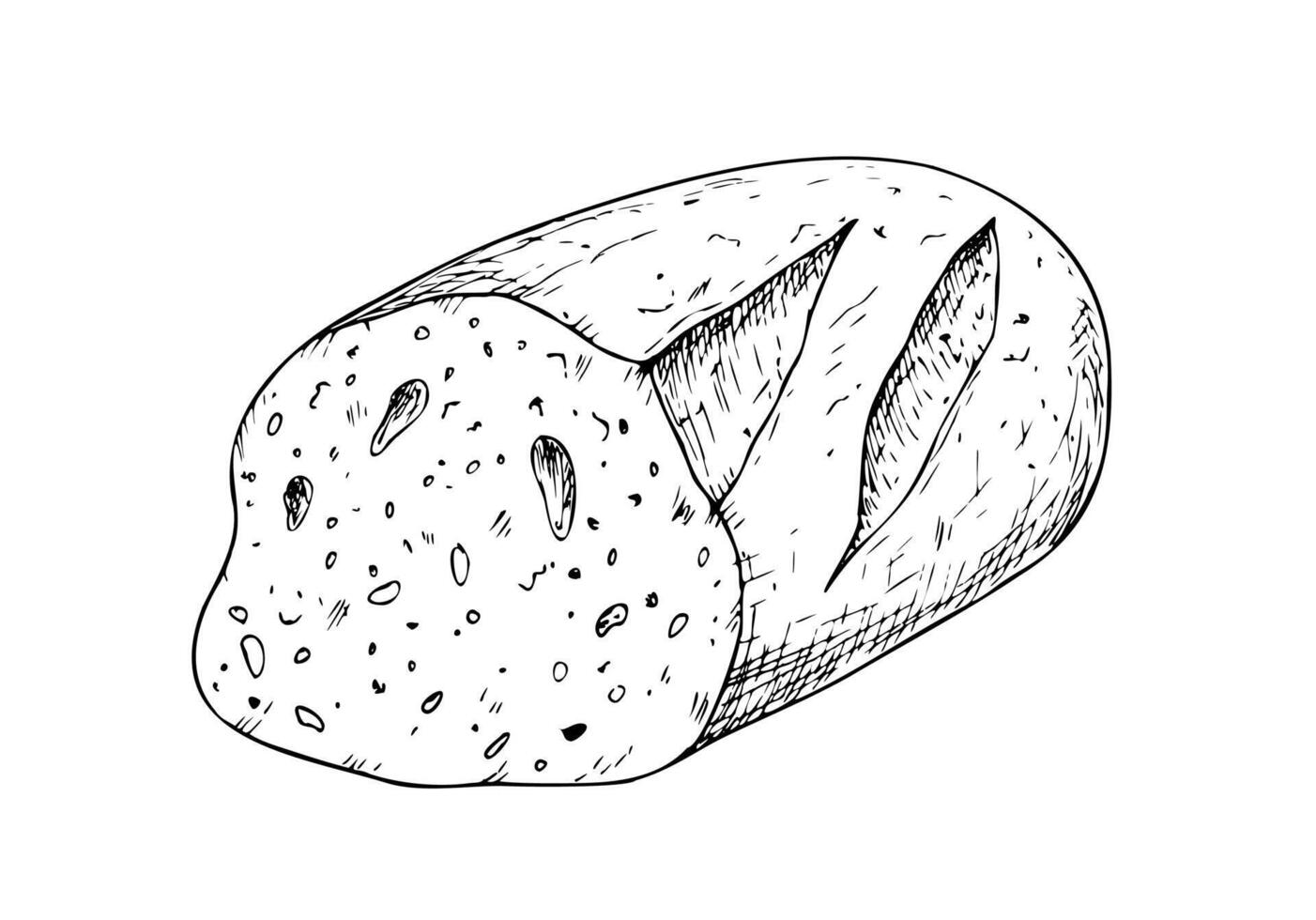 slice of bread, bakery. Graphic ink loaf food, whole grain bread, ciabatta, brown homemade, baguette. Bun illustration isolated on background. Hand drawn line sketch. For designers, prints vector