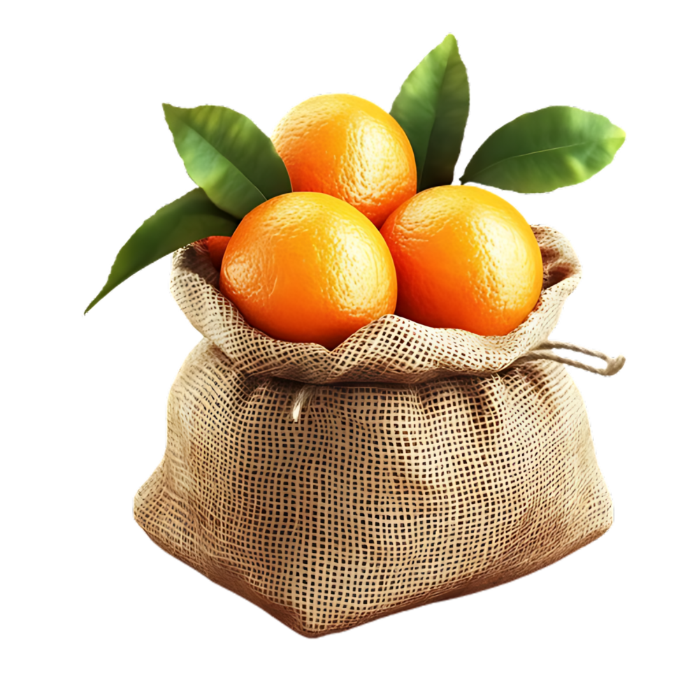 A close-up view of three vibrant oranges nestled within a rustic burlap sack. png