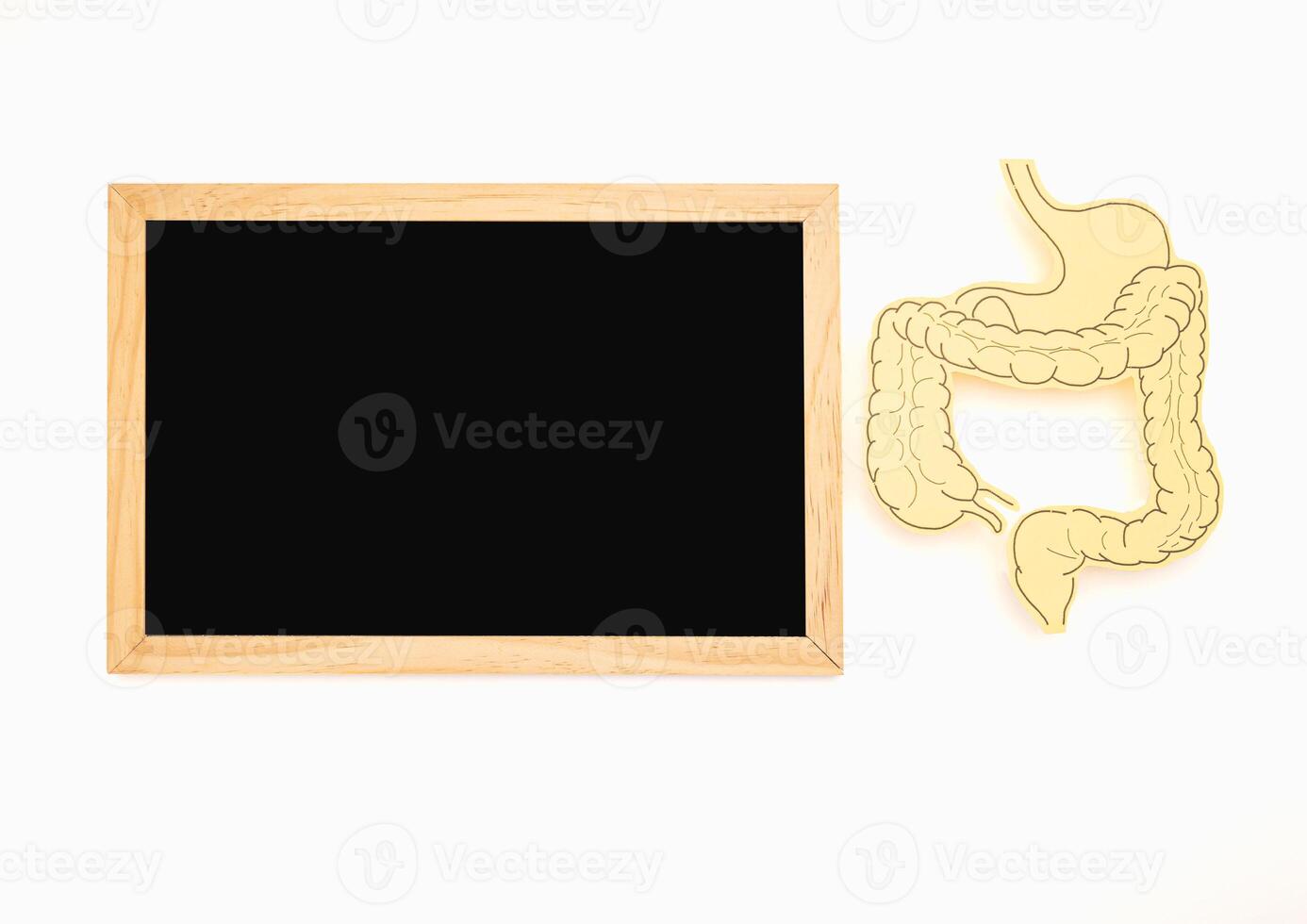 A mini blackboard and a large intestine shape made from yellow paper on a white background photo