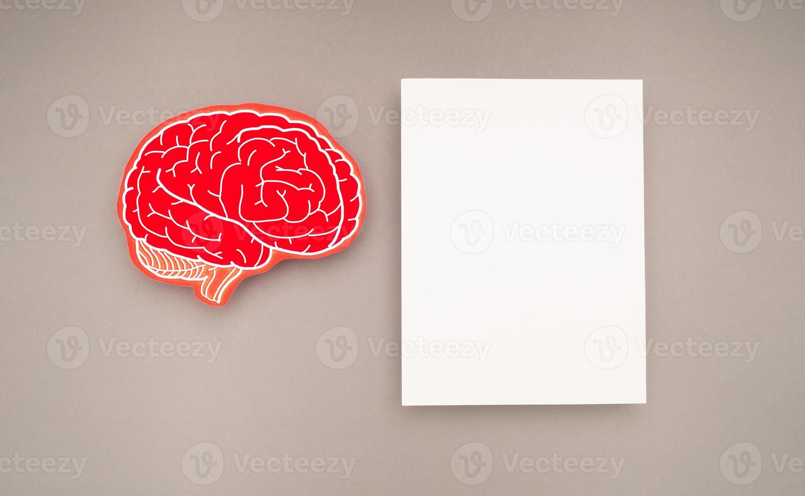 A blank white paper and a brain shape symbol on a gray background photo
