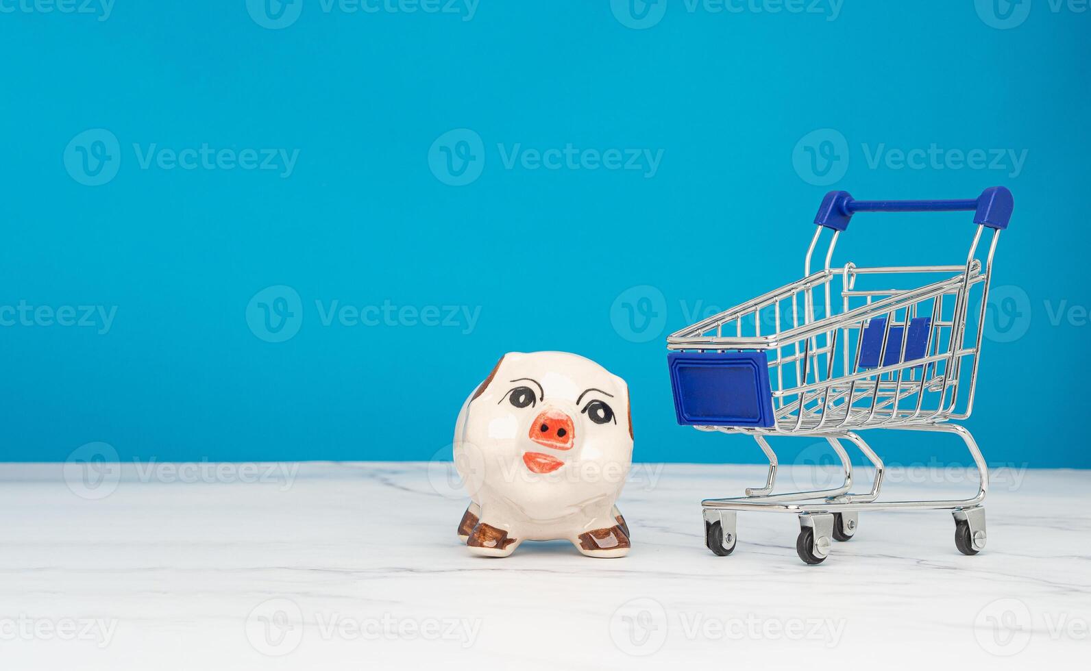 Lovely piggy bank and a mini shopping trolley on a blue background photo