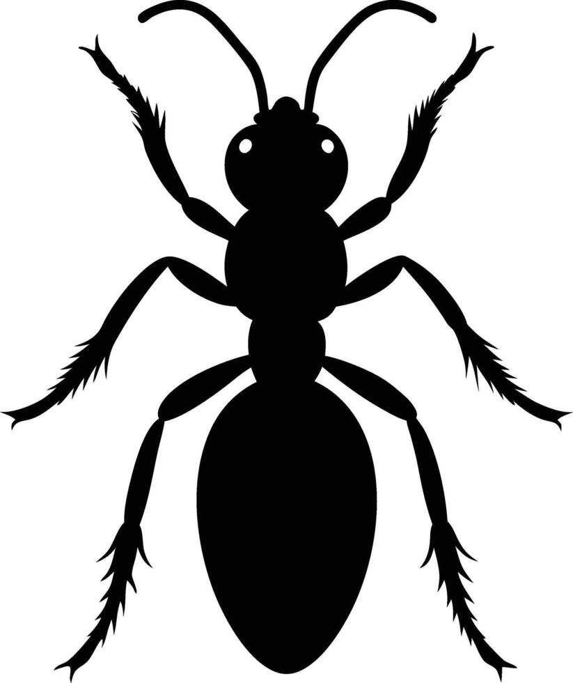 silhouette illustration of Velvet Ant vector