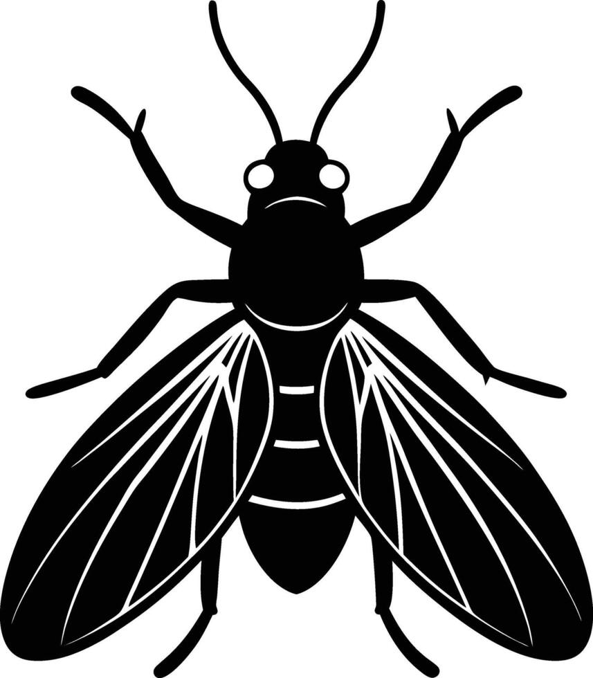 silhouette illustration of White fly vector