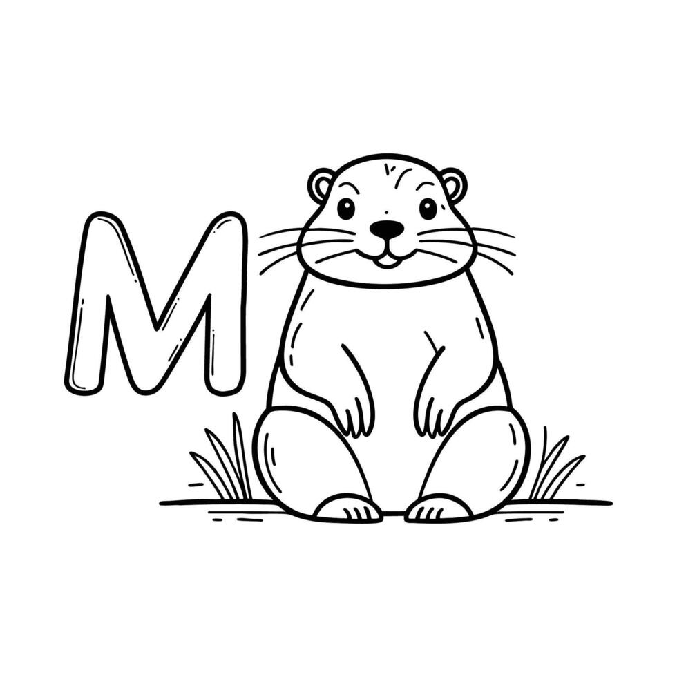 An Illustration of letter M stand for Marmot vector